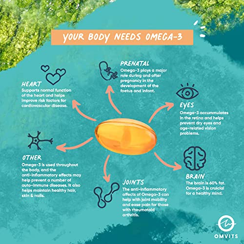 Omvits Vegan Omega 3 DHA from Algae Oil 1000mg - 60 Softgel Capsules with Vitamin E Omvits buy supplements canada