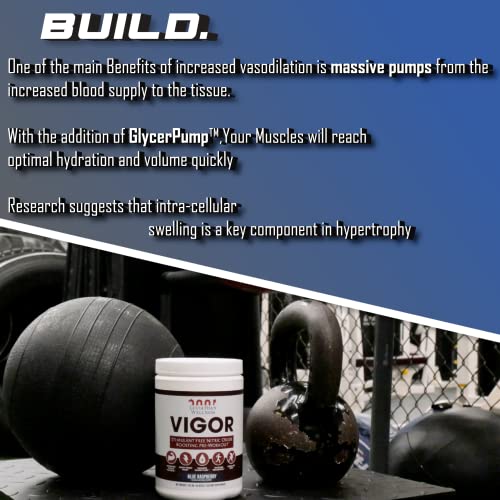 Leviathan Wellness Vigor - Stimulant Free, Nitric Oxide Boosting Pre-Workout Powder Leviathan Wellness buy supplements canada