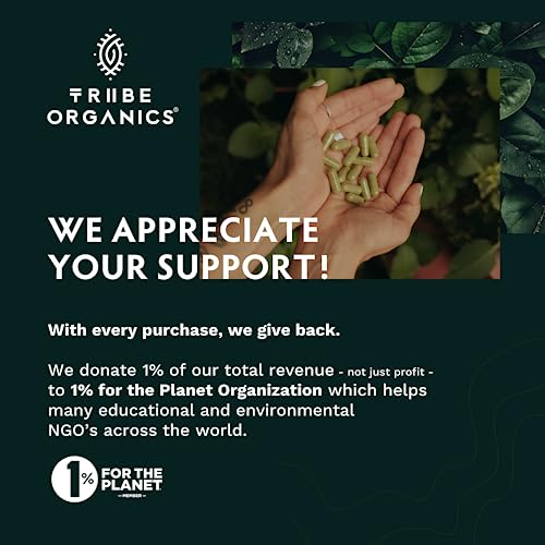 TRIBE ORGANICS Vegan Ashwagandha KSM 66 Pure Organic Root Powder Extract Ayurvedi TRIBE ORGANICS buy supplements canada