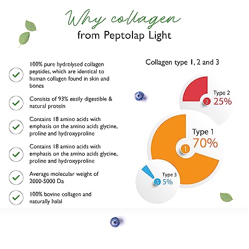Collagen - 365 Capsules - 1500 mg per Daily Serving - Premium: 100% Bovine Collagen Vit4ever buy supplements canada