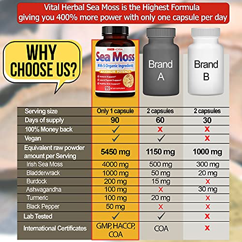 VITAL HERBAL Irish Sea Moss Capsules Equivalent to 5450mg - Maximum Potency VITAL HERBAL buy supplements canada