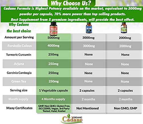 2 Packs Organic Forskolin Supplements Capsules 5000mg with Turmeric, Arjuna, Garcinia Cambogia Organic Cadane buy supplements canada