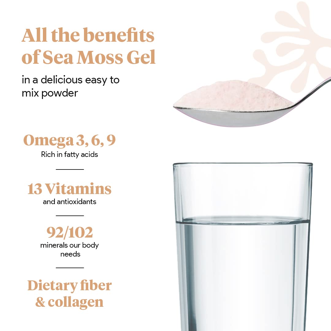 Organic Sea Moss Superfood Powder with Ashwagandha, Beet Root, and Maca Atlantic Naturals buy supplements canada