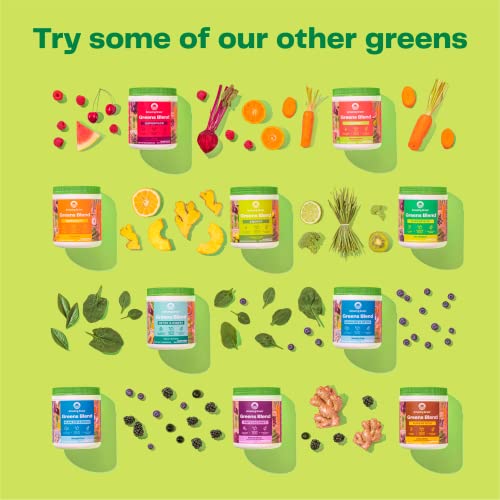Amazing Grass Greens Blend Superfood: Super Greens Powder Smoothie Mix with Organic Amazing Grass buy supplements canada