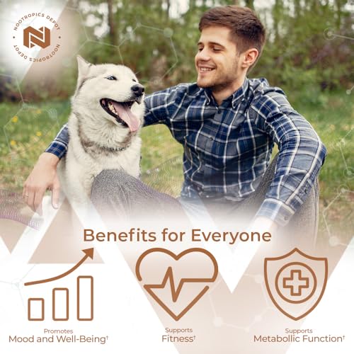 Nootropics Depot Fenugreek Extract Capsules | 500mg | 60 ct | 2.5% Trigonelline Nootropics Depot buy supplements canada