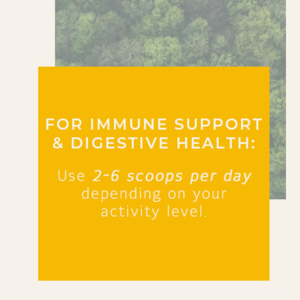 Colostrum Supplement for Gut Health, Bloating, Hair Growth, Muscle Recovery, Immune Support - Unflavored Bovine Colostrum Powder Made in USA, Non-GMO, Gluten Free, 120 Grams Per Serving - 40 Servings PERCOBA buy supplements canada