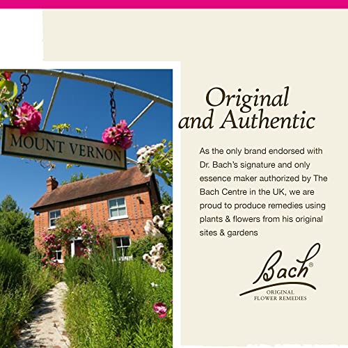 Bach Original Flower Remedies, Star of Bethlehem for Grief and Shock (Non-Alcohol Formula) Bach buy supplements canada