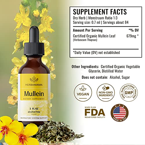 Mullein Leaf Tincture - Lung Cleanse - Vegan Lung Detox - Respiratory Health HERBAMAMA buy supplements canada