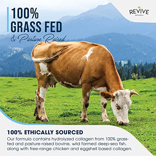 Multi Collagen Protein Capsules - Types I, II, III, V & X - Hydrolysed Grass Fed Bovine, Wild Caught Marine Revive Naturals buy supplements canada