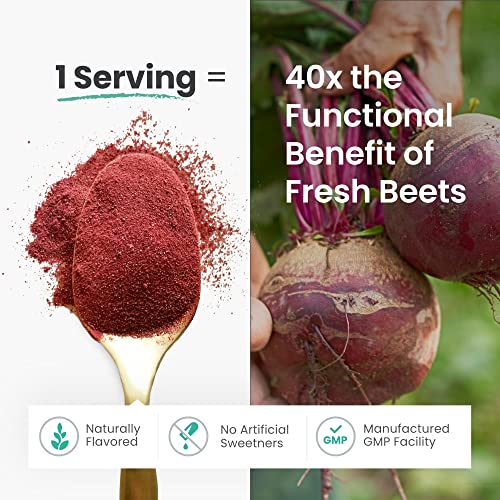 HumanN SuperBeets - Beet Root Powder - Nitric Oxide Boost for Blood Pressure, Circulation & Heart Health Support - Non-GMO Superfood Supplement - Natural Black Cherry Flavor, 30 Servings humanN buy supplements canada