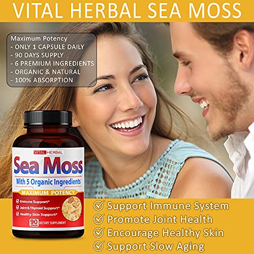 VITAL HERBAL Irish Sea Moss Capsules Equivalent to 5450mg - Maximum Potency VITAL HERBAL buy supplements canada