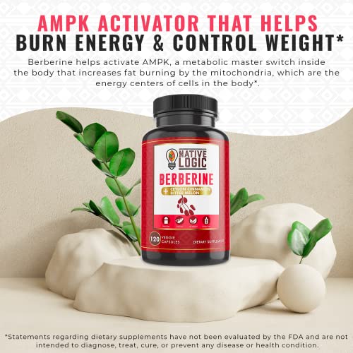 Native Logic Berberine HCL 1200mg with Ceylon Cinnamon, Bitter Melon, and Green Tea Native Logic buy supplements canada