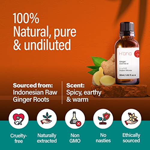 H’ana Pure Ginger Oil for Belly Fat & Pain - 100% Natural Therapeutic Grade Ginger Essentia H'ana buy supplements canada