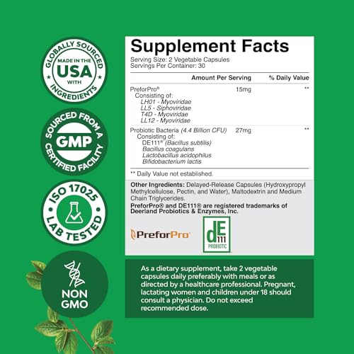 Prebiotics and Probiotics Gut Health Supplement - Super Potent Digestive Health Acidophil Natures Craft buy supplements canada