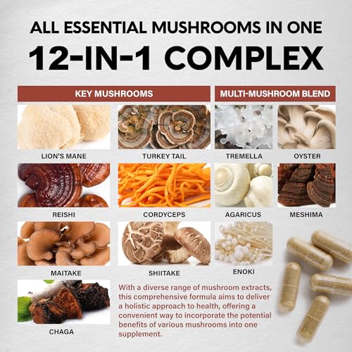 Mushroom Supplement - Organic Lion's Mane | Turkey Tail | Chaga | Cordyceps | Reishi NUTRAHARMONY buy supplements canada