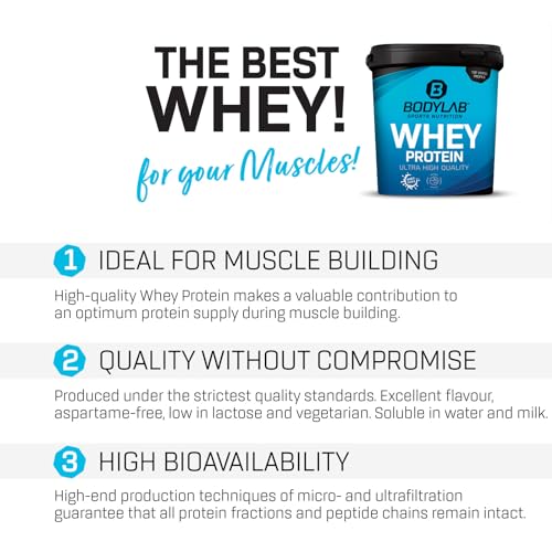 Bodylab24 Whey Protein Powder Milk Chocolate 1kg, Protein-Shake for Your Workout Bodylab24 buy supplements canada