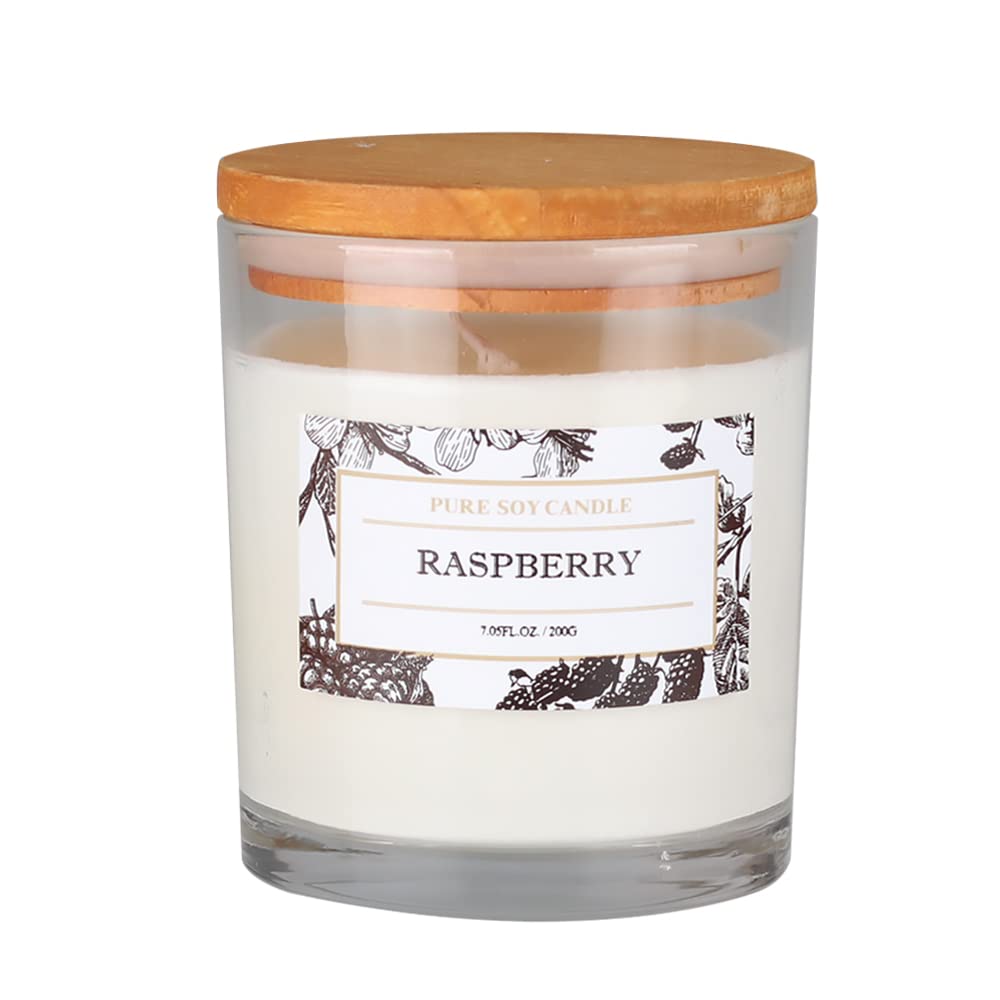 Aronica Pure Candle, Tropical Garden Scent, 7.05oz, Aesthetic Fresh Summer Beach Decor Aronica buy supplements canada