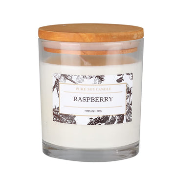Aronica Pure Candle, Tropical Garden Scent, 7.05oz, Aesthetic Fresh Summer Beach Decor Aronica buy supplements canada