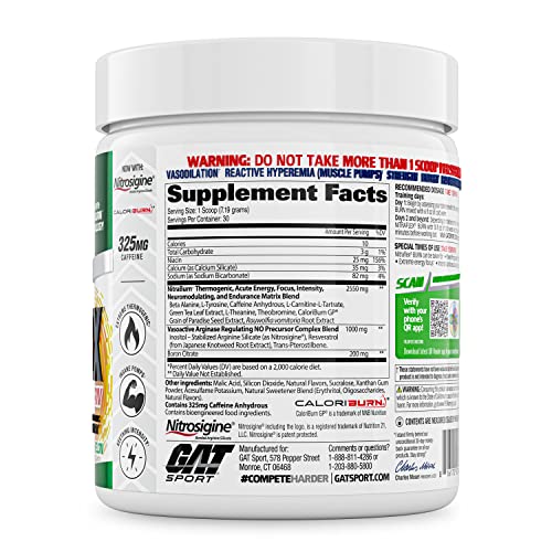 GAT SPORT NITRAFLEX Burn, Pre Workout Thermogenic Powder, Apple Melon, 30 Servings GAT SPORT buy supplements canada