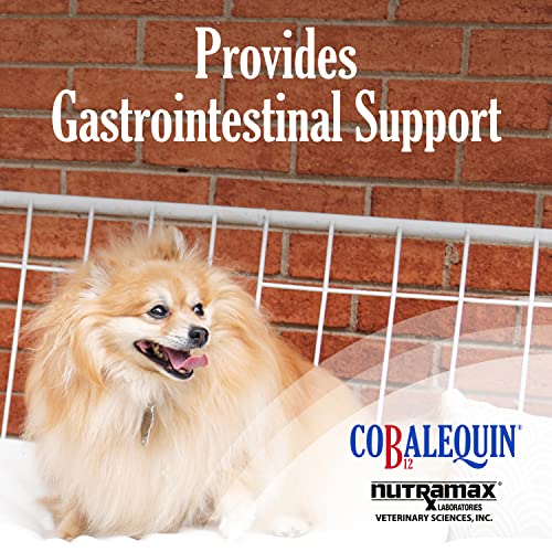 Nutramax Cobalequin B12 Supplement for Cats and Small Dogs, 45 Count (Pack of 1) Nutramax Laboratories buy supplements canada