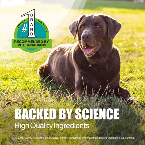 Nutramax Laboratories Dasuquin with MSM Joint Health Supplement for Large Dogs Nutramax Laboratories buy supplements canada
