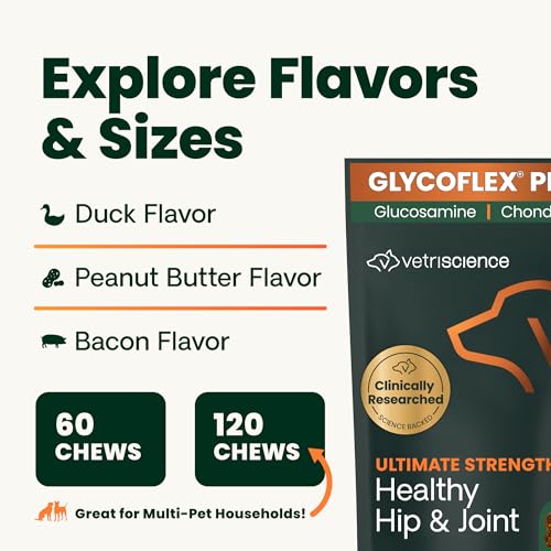 VetriScience Ultimate Strength Healthy Hip & Joint Chews, GlycoFlex Glucosamine, Chondroitin and Green-Lipped Mussel Joint Support Supplement for Dogs, Soothe Joint Discomfort, Duck, 120 Count VETRISCIENCE buy supplements canada