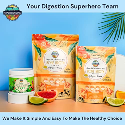 Organic Celery Juice Powder (40 Servings) Supports Gut Health, Detox Juice Cleanse Paradise Naturals, Purest Ingredients from the Source buy supplements canada