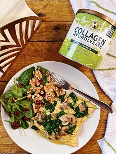 Great Lakes Gelatin Collagen Hydrolysate, Grass-Fed Bovine Hydrolysed Collagen Peptides Protein Powder Supplement, Unflavoured, 226g, Can Great Lakes Gelatin buy supplements canada