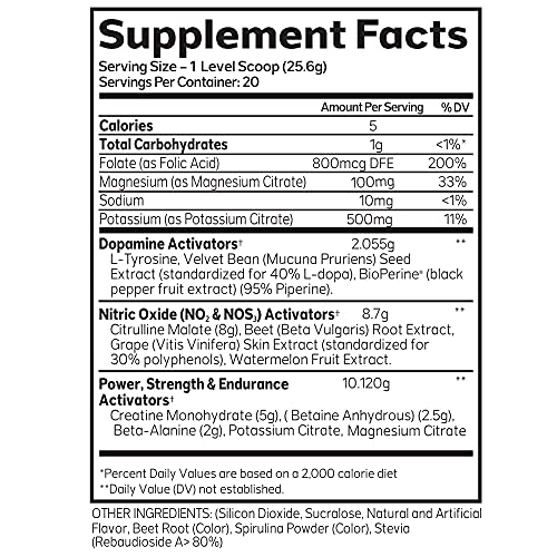 Advanced Molecular Labs - Pre Workout Powder, Increases Drive, Performance Enhancer AML ADVANCED MOLECULAR LABS buy supplements canada