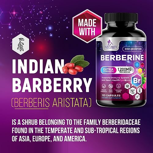 Berberine Supplement 1200mg per Serving - High Absorption Heart Health Support Nature's Nutrition buy supplements canada