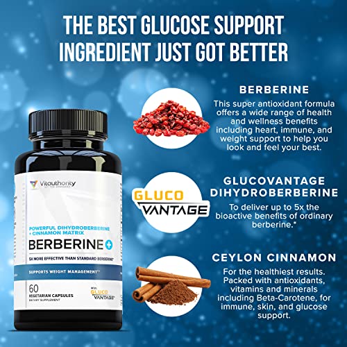 Vitauthority Extra Strength Berberine with Ceylon Cinnamon High Absorption Vitauthority buy supplements canada