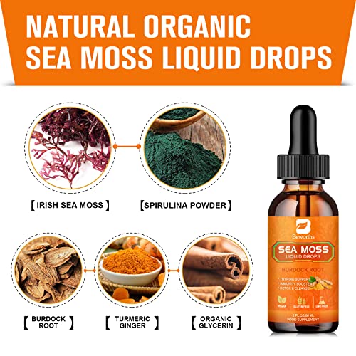 B BEWORTHS Sea Moss Liquid Drops - Organic Irish Sea Moss Raw Gel with Burdock Root B BEWORTHS buy supplements canada