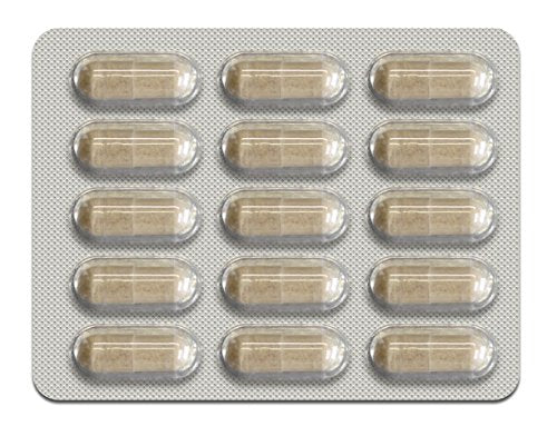 Femmenessence MacaPause – Clinically Proven for Post Menopause, Natural Hormone Balance Natural Health International buy supplements canada