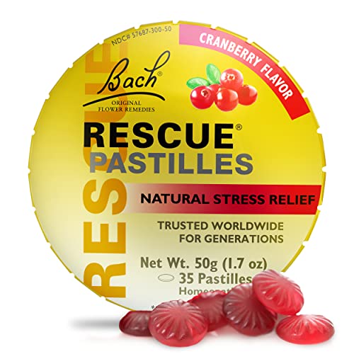 Bach RESCUE PASTILLES, Cranberry Flavor, Natural Stress Relief Lozenges RESCUE buy supplements canada
