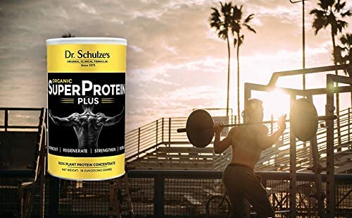 Dr. Schulze's | SuperProtein Plus | 100% Plant Protein Concentrate | Organic Powder Mix Dr. Schulze's buy supplements canada