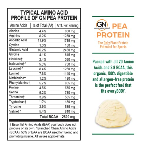 Growing Naturals | Vanilla Raw Pea Powder 15g Plant Protein | 2.8G BCAA, Low-Carb Growing Naturals buy supplements canada