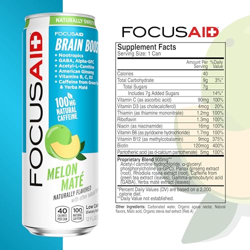 FOCUSAID Energy Blend, Brain Boosting Nootropics Drink, Alpha-GPC, GABA, B-Complex, Yerba Mate, Green Tea, 100% Clean, 100mg Natural Caffeine, 12-oz. can, 12 Pack LIFEAID buy supplements canada