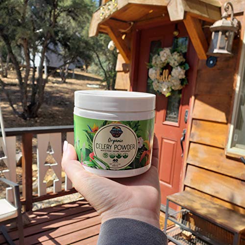 Organic Celery Juice Powder (40 Servings) Supports Gut Health, Detox Juice Cleanse Paradise Naturals, Purest Ingredients from the Source buy supplements canada