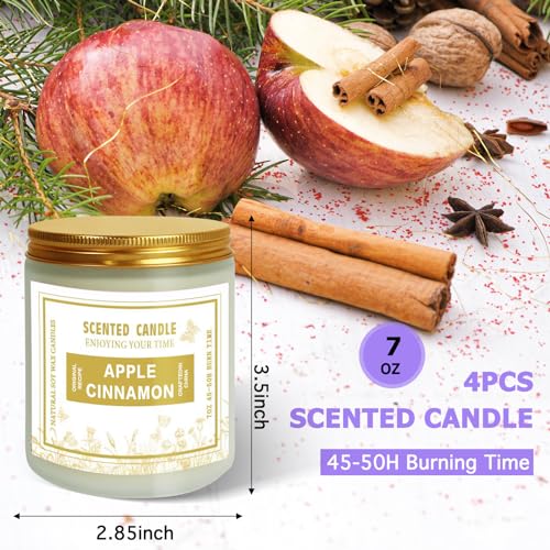 4 Pack Candles for Home Scented, Lavender & Cinnamon Candles Gifts for Women, 28 oz 200H Long zsaltt buy supplements canada