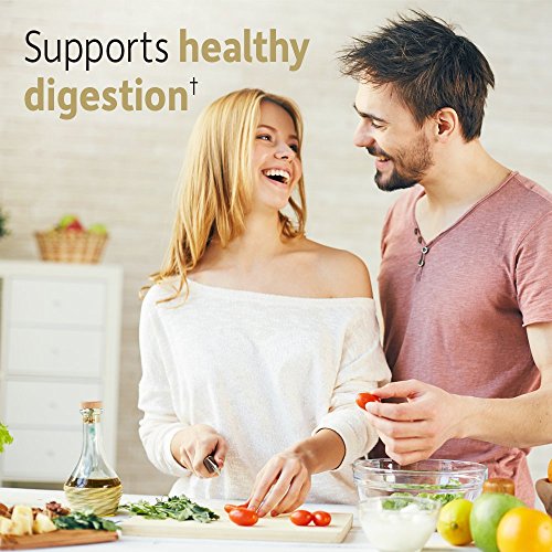 Garden of Life Dr Formulated Organic Fiber Supplement Powder Unflavored, Sugar Free Garden of Life buy supplements canada