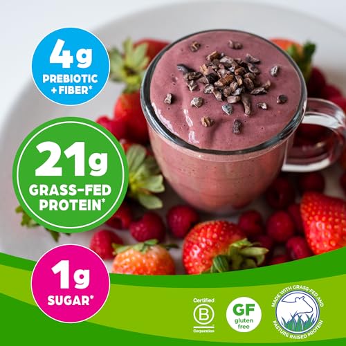 Orgain Whey Protein Powder, Creamy Chocolate Fudge - 21g Grass Fed Dairy Protein Orgain buy supplements canada