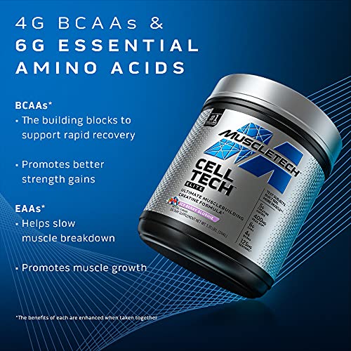 Creatine Powder | MuscleTech Cell-Tech Elite Creatine Powder | Post Workout Recovery MuscleTech buy supplements canada