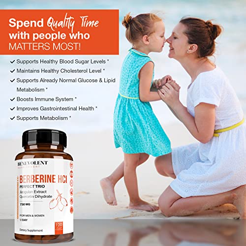 Premium Berberine HCL 730mg - 120 VCAPS Perfect Trio Complex with Non-GMO Jiaogulan Benevolent Nourishment buy supplements canada