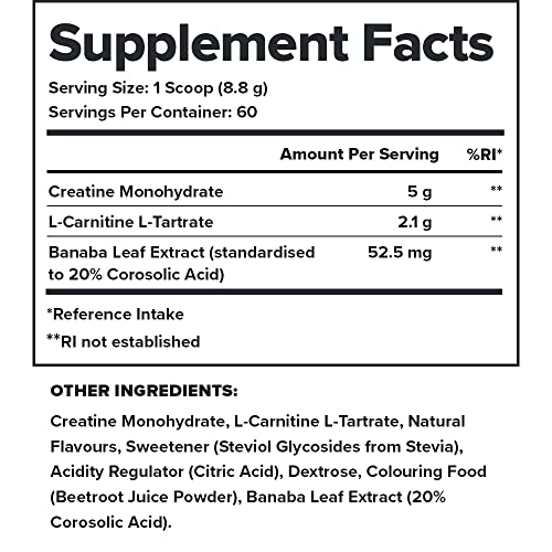 Legion Recharge Post Workout Supplement - All Natural Muscle Builder & Recovery Drink Legion buy supplements canada