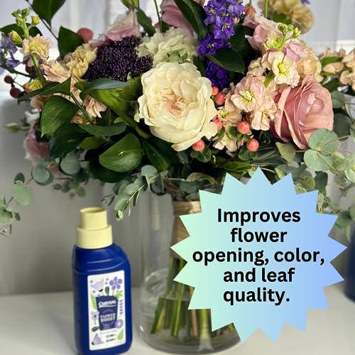 Chrysal Cut Flower Universal Food (10 ml/L Bottle) — Increase The Flower Boost with Floral Supplies Chrysal buy supplements canada