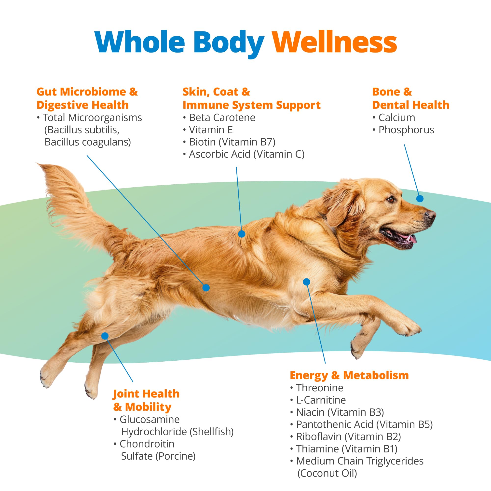 5Strands Dog Multivitamin Chews, 10-in-1, Vitamins & Postbiotics, All Ages & Breeds - Digestion, Brain, Organs, Heart, Mobility, Vision, Skin & Coat, Immunity - Dog Supplement (Peanut Butter, 90ct) - OzHealthStandard