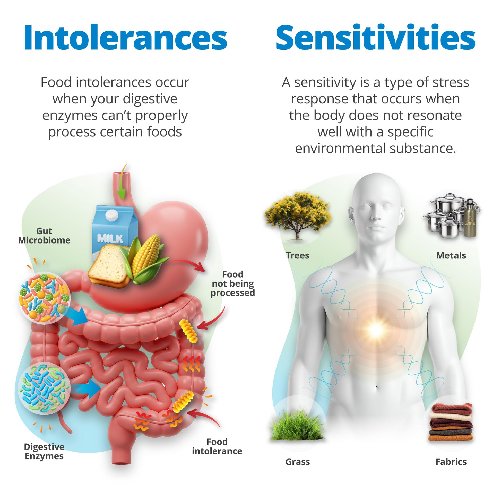 5Strands Food Intolerance & Environmental Sensitivity Test for Adults & Children, 950 Items Tested, Kids Intolerance Testing Kit, at Home Gut Health Assessment, Fast 4 Day Results - OzHealthStandard