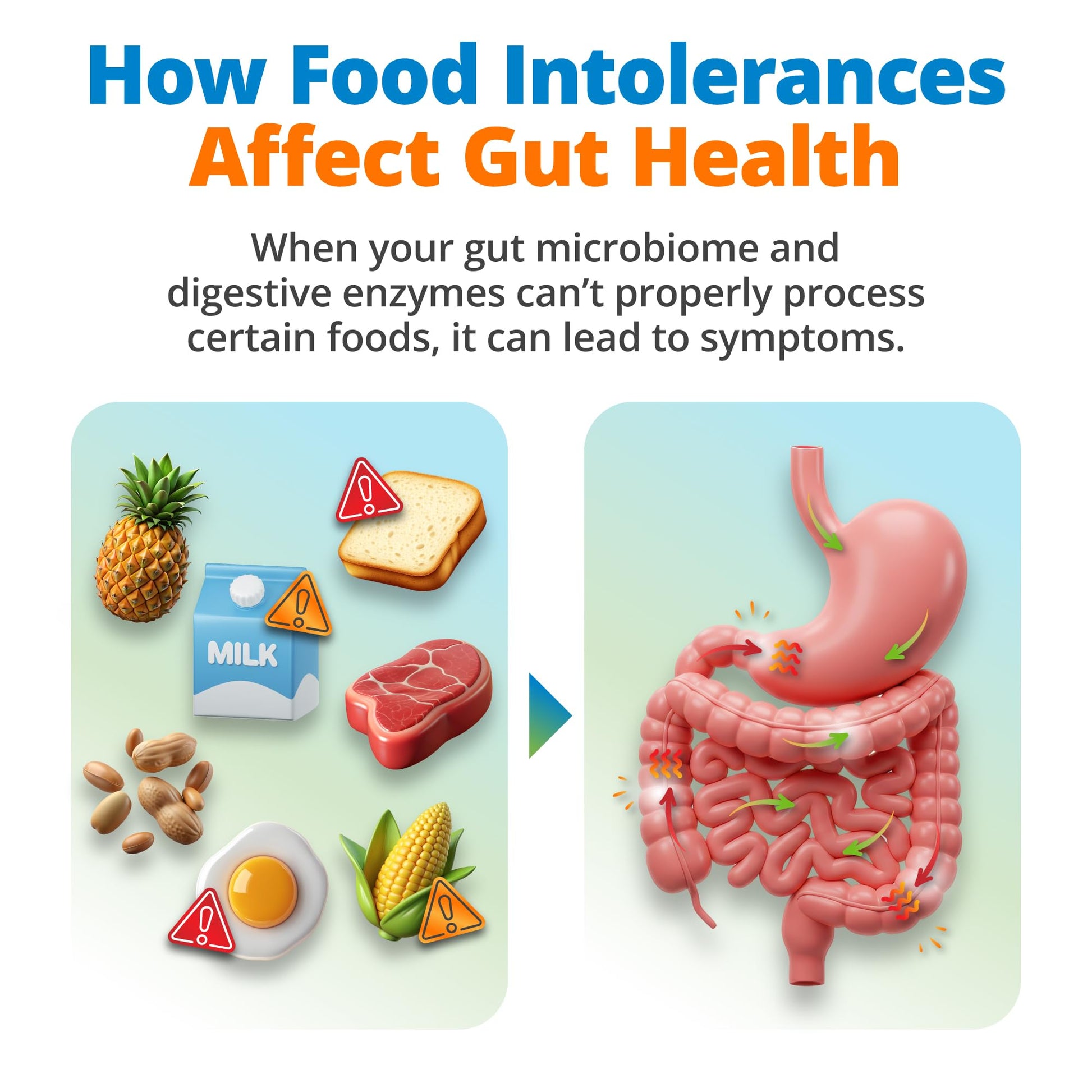 5Strands Gut Health Test for Adults & Kids, 500+ Items Tested, At-Home Hair Sample Screening for Food Intolerances Linked to Digestive Issues, Skin Irritation, Brain Fog & Headaches, Results in 4 Days - OzHealthStandard