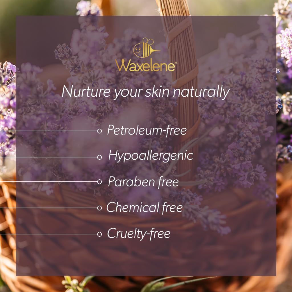 Lavender Aerated Lip Balm tin - Single Waxelene buy supplements canada
