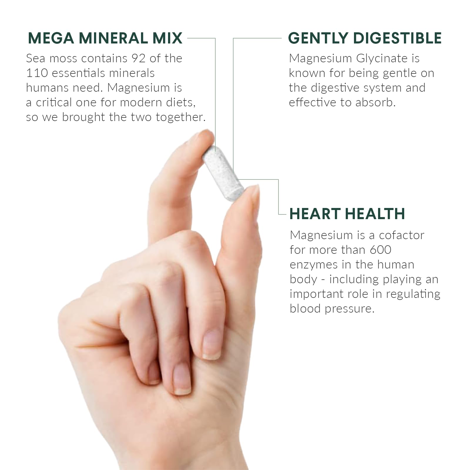 Nutritional Roots - Magnesium + Irish Sea Moss - 350mg Magnesium Glycinate & Organic Irish Sea Moss - Essential Minerals - Supports Heart & Bone Health - Dietary Supplement - 30 Servings - 60 Capsules Nutritional Roots buy supplements canada